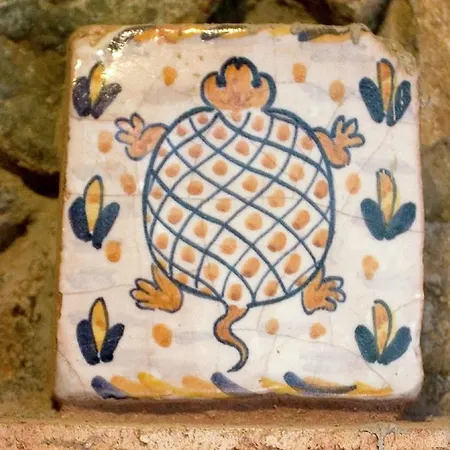 The Turtle Alajar